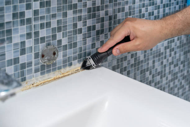 Best Fast Mold Removal  in La Porte, IN