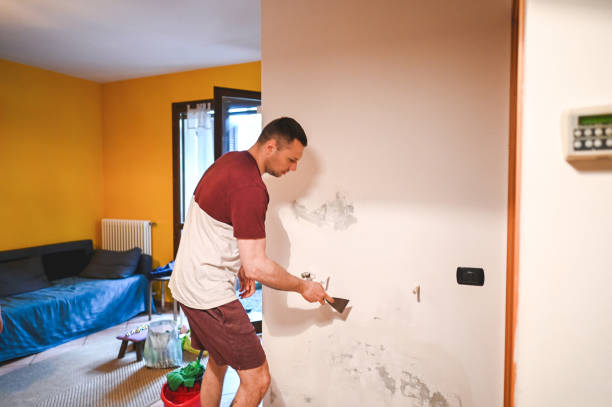 Best Mold Remediation  in La Porte, IN